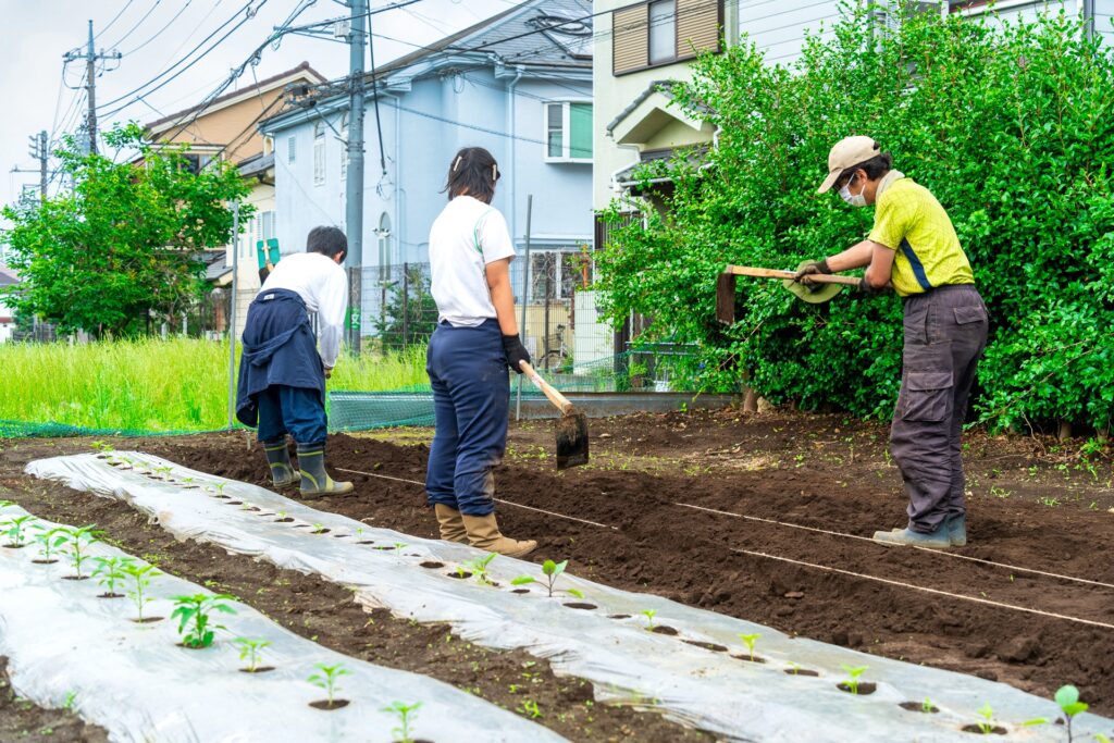 20230614_tashizan_23