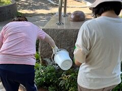 65f4eeb83db0a5c92044cae5d524df0b-e1727421530282