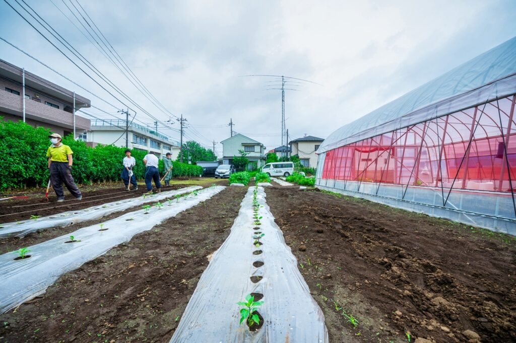 20230614_tashizan_11