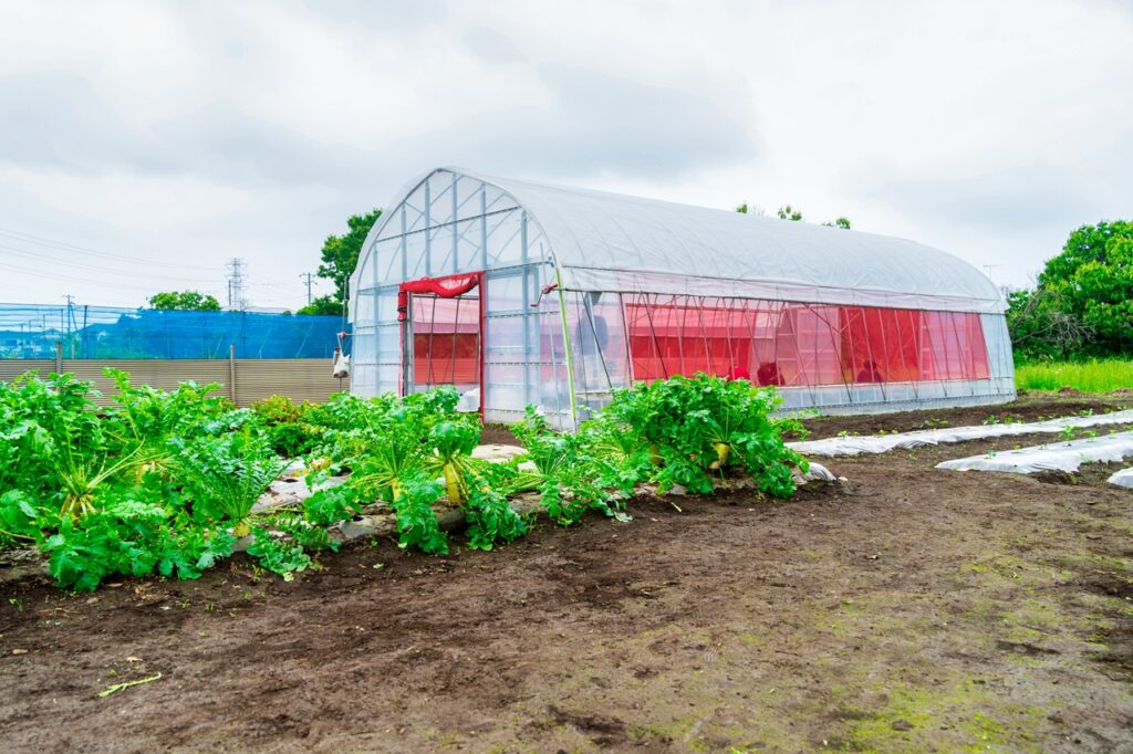 20230614_tashizan_21